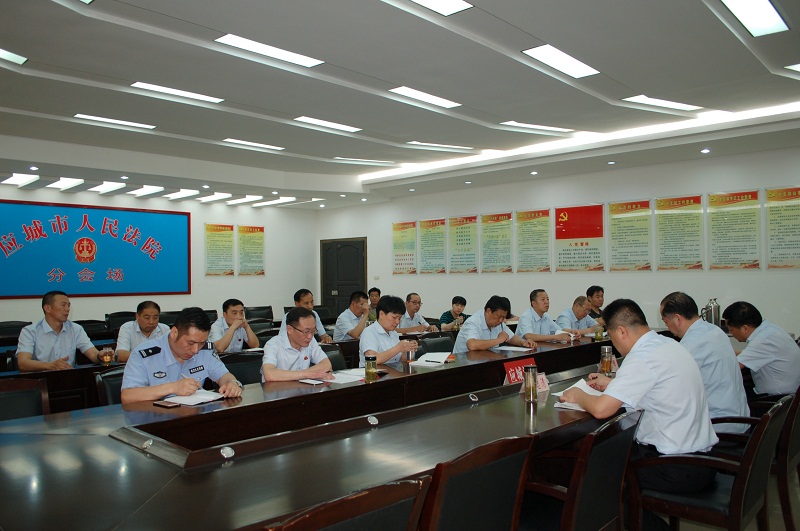 执行工作推进会1.JPG