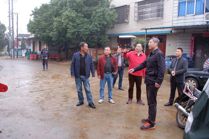 DSC_0771_副本.jpg DSC_0771_副本.jpg