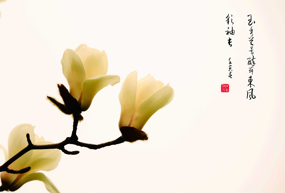 程新进.jpg